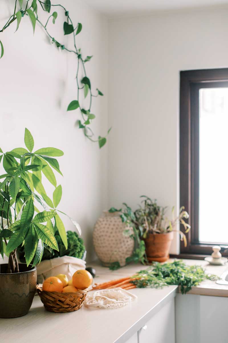 Alimentation santé mentale