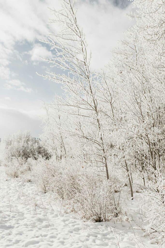 dépression hivernale
