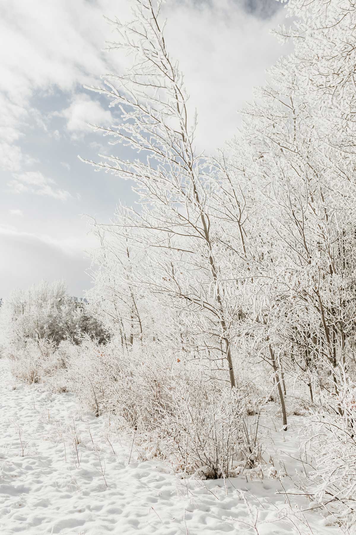 Lire la suite à propos de l’article Dépression hivernale : que faire pour en sortir ?