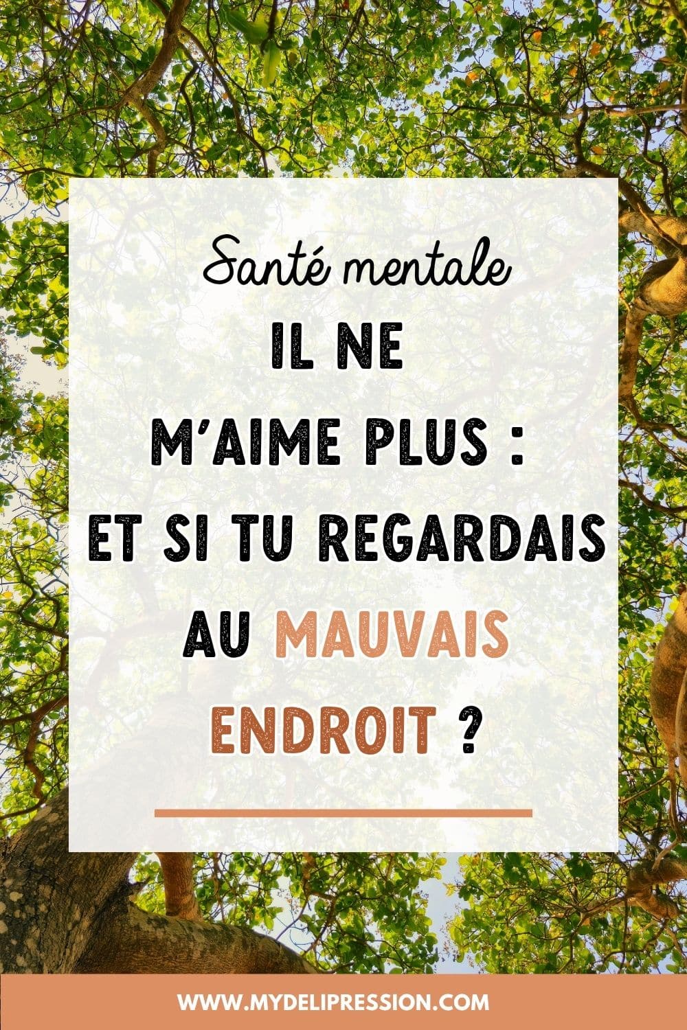 Il ne m'aime plus