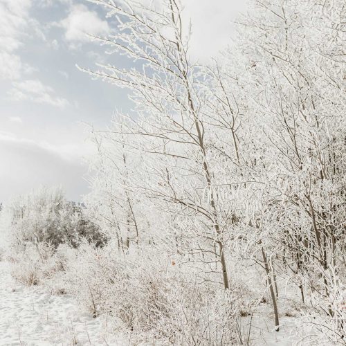 dépression hivernale