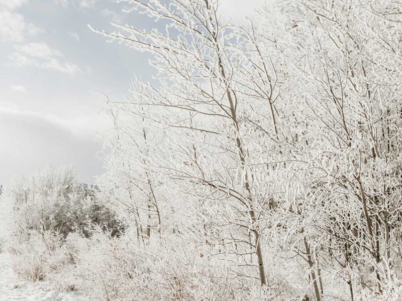 dépression hivernale
