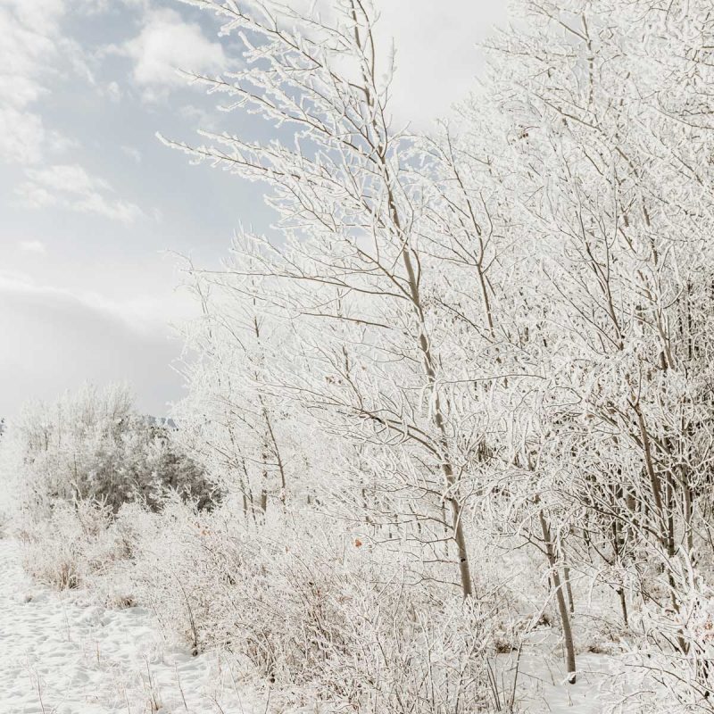 dépression hivernale