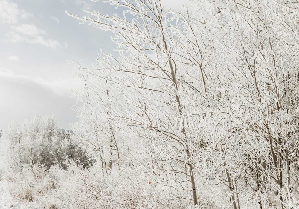 dépression hivernale